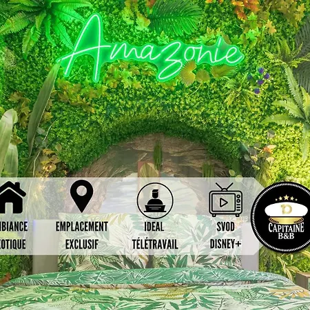 Amazonia 2 - Hypercentre - 4 Pers * Troyes