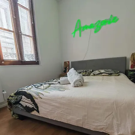 Amazonia 2 - Hypercentre - 4 Pers Daire Troyes